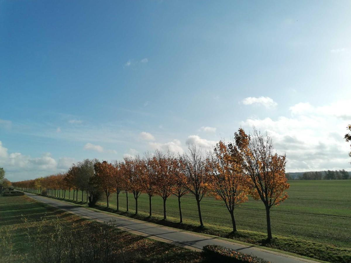 Ferienwohnungen Kleckerburg mit Meerblick OFC 05 Kägsdorf Exterior foto